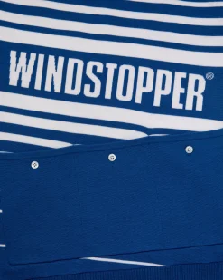 Aimé Leon Dore WINDSTOPPER® Striped Knit Cycling Jersey by GORE-TEX LABS><noscript><img width=